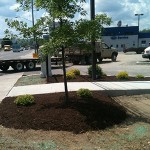 curbside-bedding-landscaping