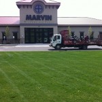 lawn-maintenence-marvin-windows